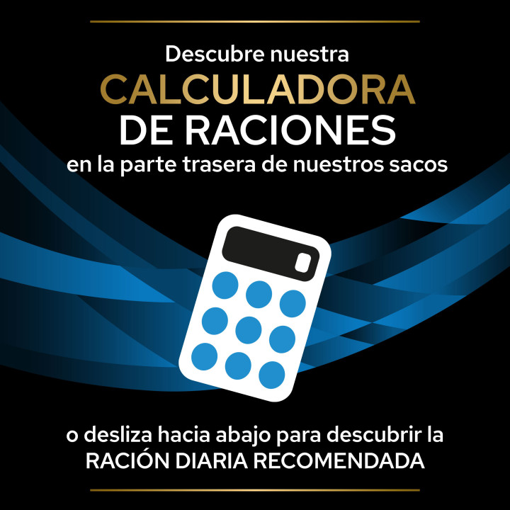 Purina Veterinary Diets DRM, Pienso para perros - Kompymascotas