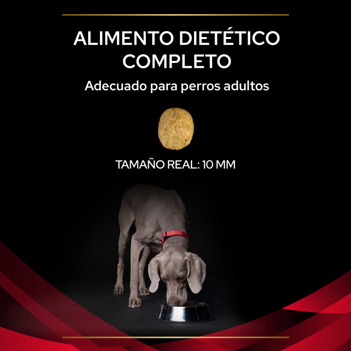 Purina Pro Plan Veterinary Diets DM Diabetes, Pienso para perros - Kompymascotas