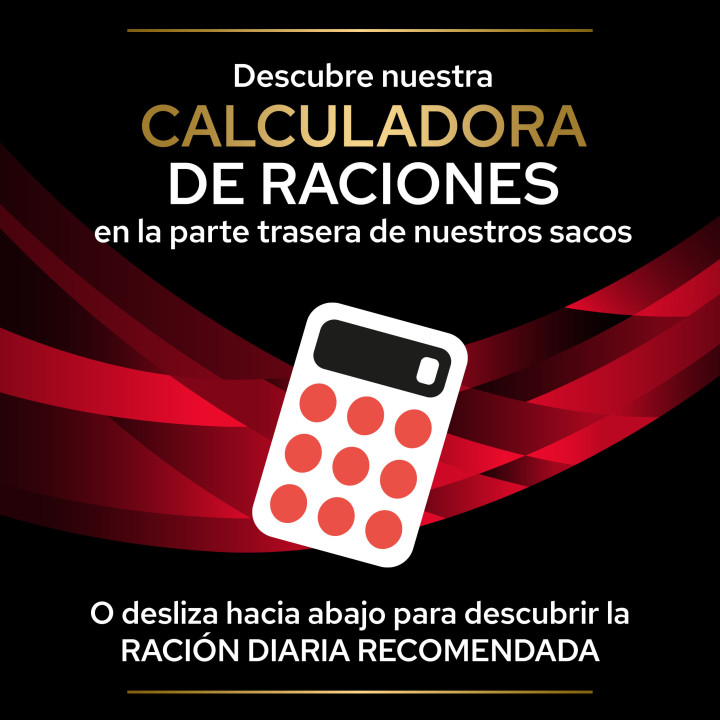 Purina Pro Plan Veterinary Diets DM Diabetes, Pienso para perros - Kompymascotas