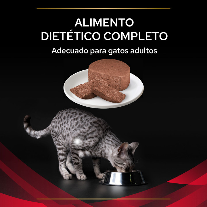 Purina DM, Pienso para gatos - Kompymascotas