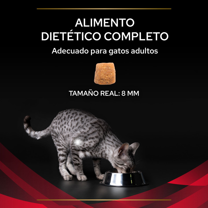 Purina Gato DM - Diabetes, Pienso para gatos - Kompymascotas