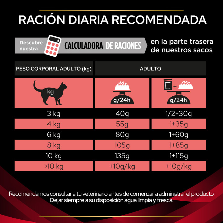 Purina Gato DM - Diabetes, Pienso para gatos - Kompymascotas