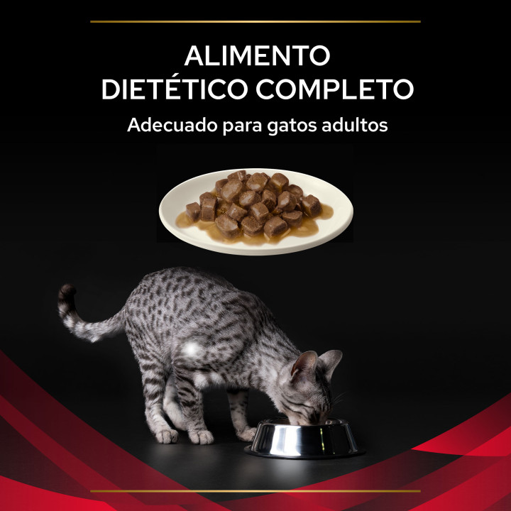 Comida húmeda Purina Pro Plan Veterinary Diet FELINE DM Pouch Pollo - Kompymascotas