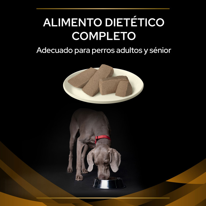 Purina NF, pienso veterinario para perros - Kompymascotas