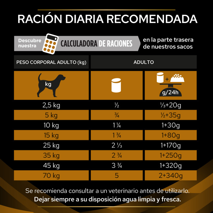 Purina NF, pienso veterinario para perros - Kompymascotas