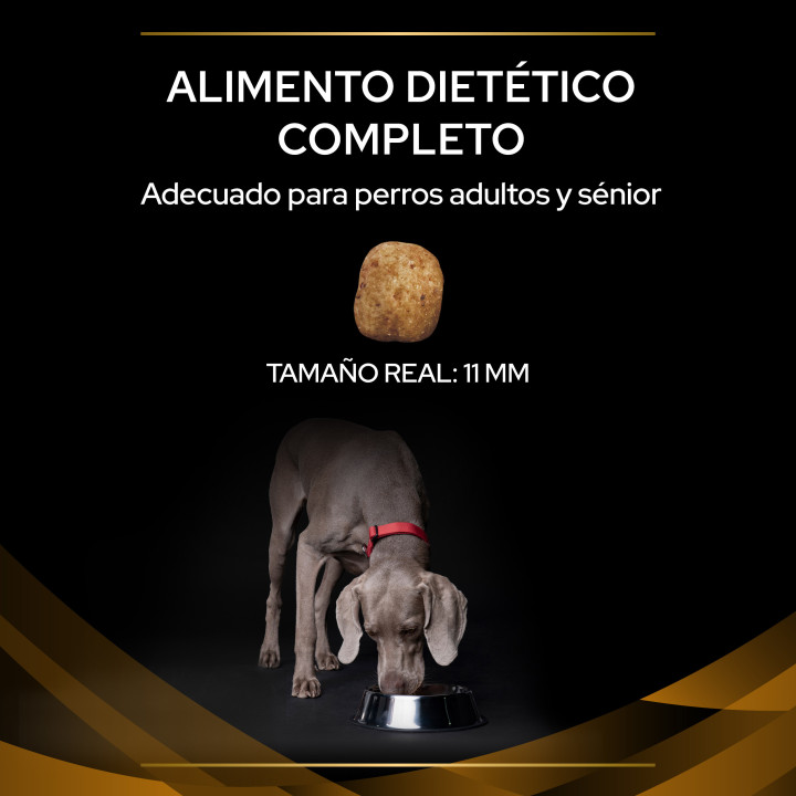 Purina Pro Plan Veterinary Diets NF Renal Function Pienso para perros - Kompymascotas