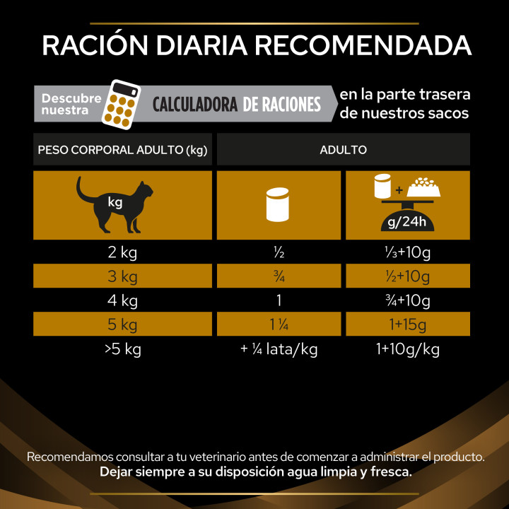 PVD Gato Seco NF Renal, Pienso para gatos - Kompymascotas