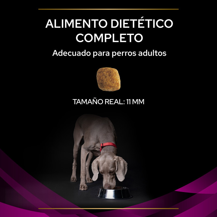 Purina Pro Plan Veterinary Diets UR Urinary Pienso para perros - Kompymascotas