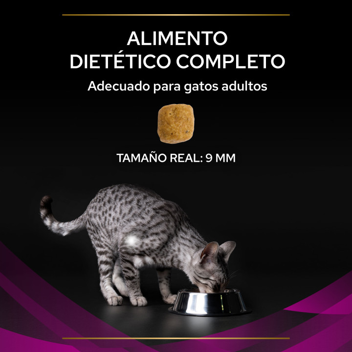 PVD Gato Seco UR Urinario, Pienso para gatos - Kompymascotas