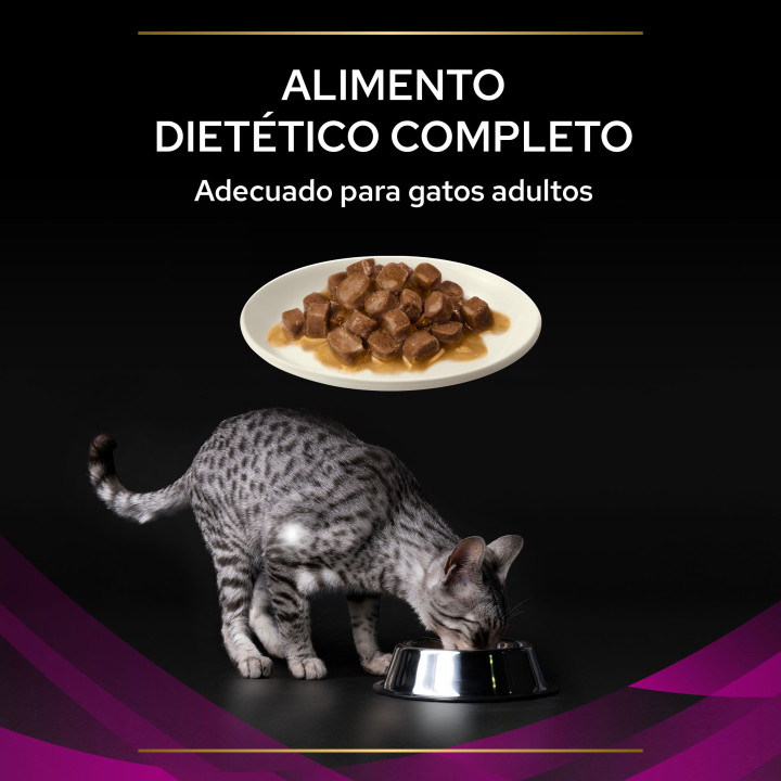 Purina Veterinary Diets Feline UR Pouches de Salmón