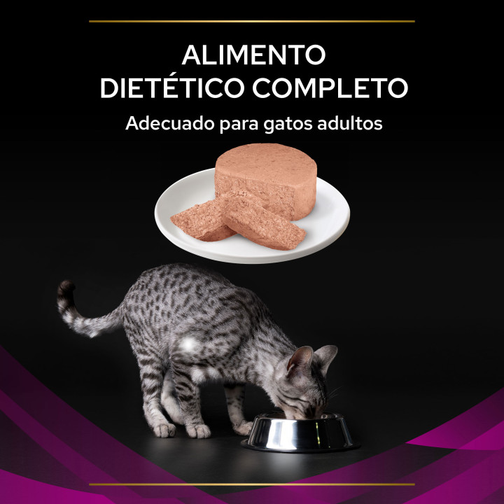 Purina UR Feline, Pienso para gatos - Kompymascotas