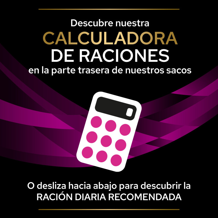 Purina UR Feline, Pienso para gatos - Kompymascotas