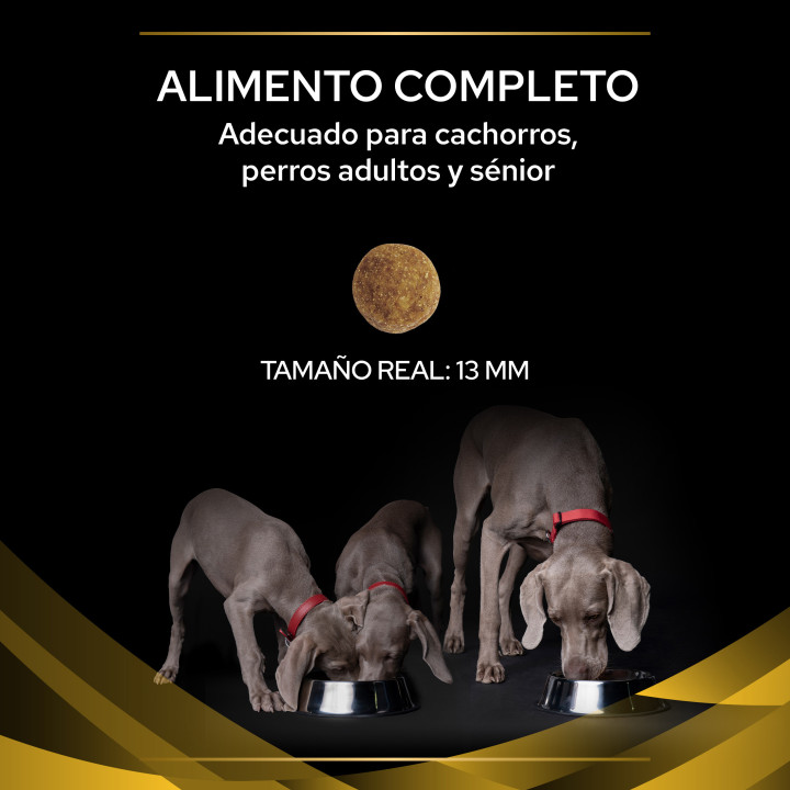 Purina Pro Plan Veterinary Diets JM Joint Mobility Pienso para perros - Kompymascotas