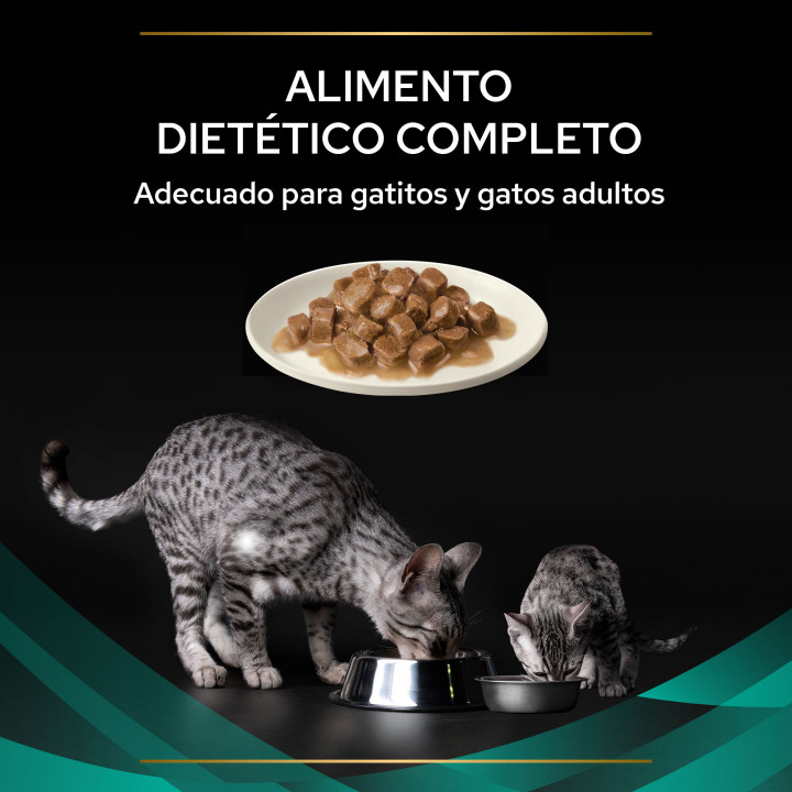 Comida húmeda Purina Pro Plan Veterinary Diet FELINE - Kompymascotas