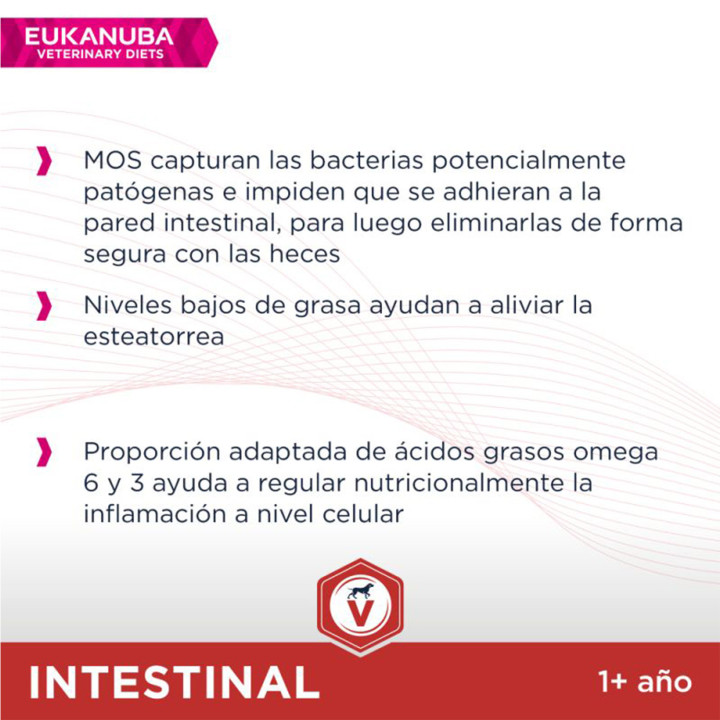 Eukanuba Veterinary Diet Intestinal, pienso para perros adultos - Kompymascotas