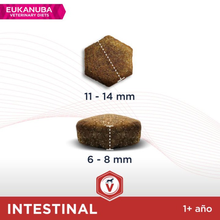 Eukanuba Veterinary Diet Intestinal, pienso para perros adultos - Kompymascotas