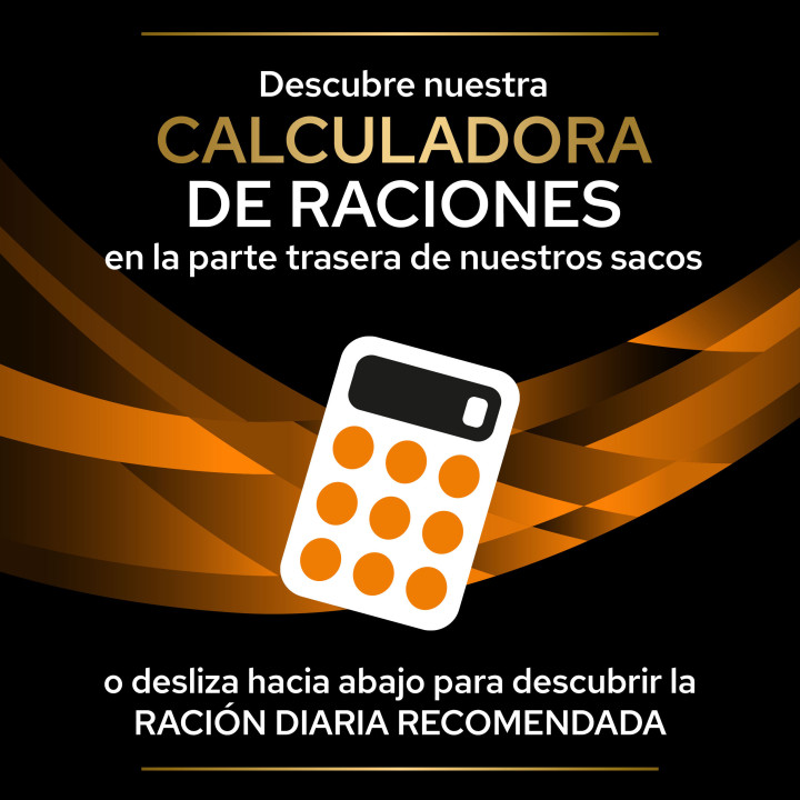 Purina Pro Plan Veterinary Diets OM Obesity Pienso para perros - Kompymascotas