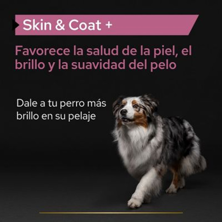 Purina Pro Plan Skin & Coat - Kompymascotas