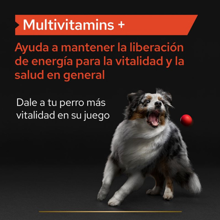 Purina Pro Plan Multivitamins - Kompymascotas