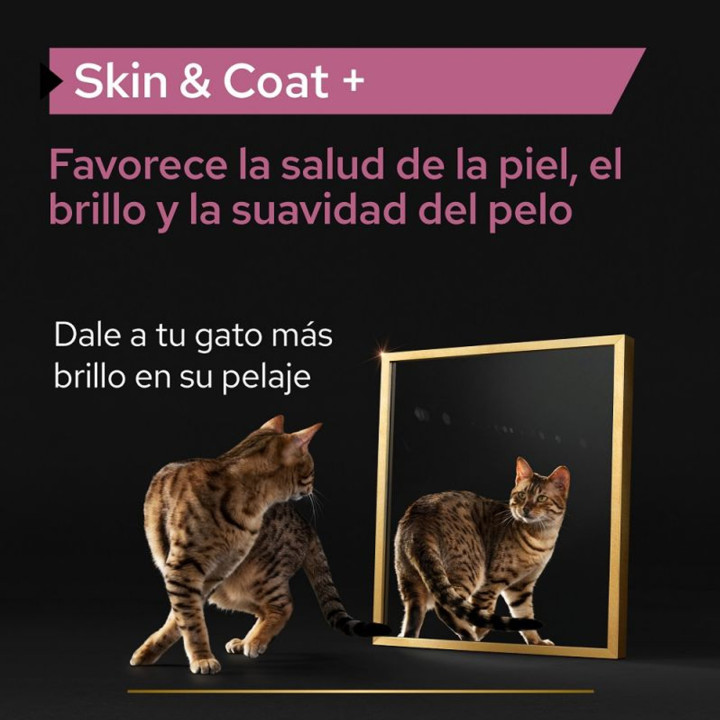 Purina Pro Plan Skin&Coat - Kompymascotas