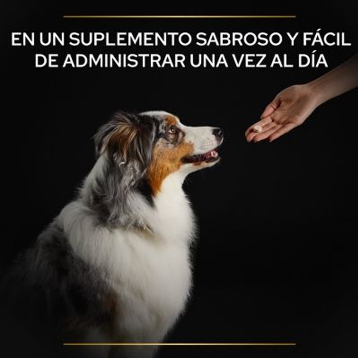 Purina Pro Plan Natural Defences - Kompymascotas