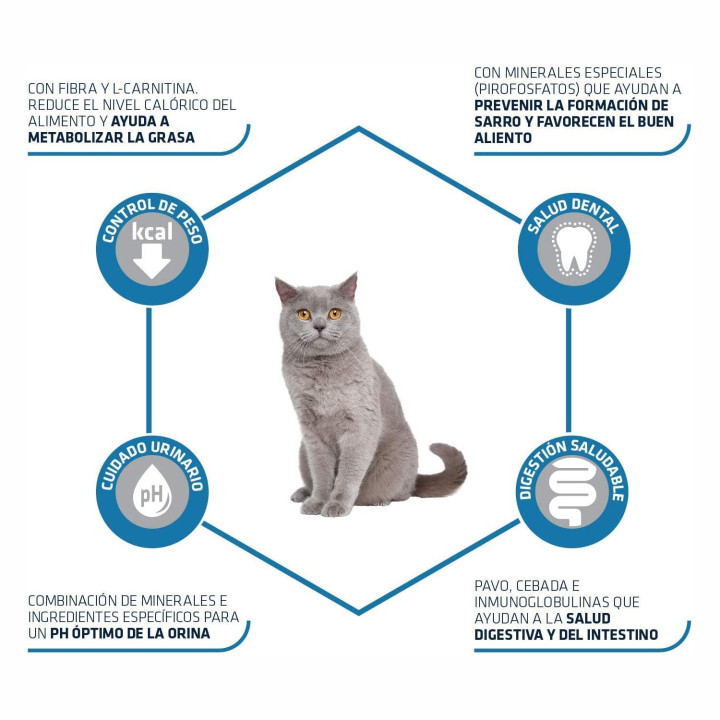 Advance Sterilized, Pienso para gatos - Kompymascotas