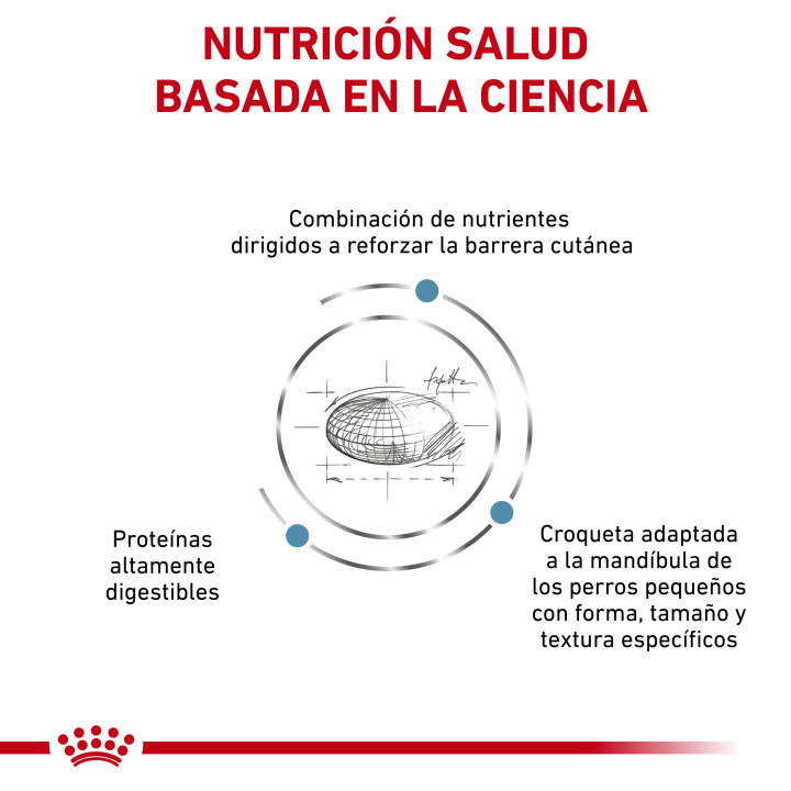 Royal Canin Skin Care Adult Small Dog, pienso para perros - Kompymascotas