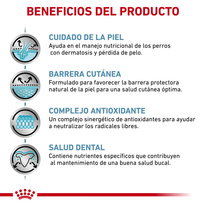 Royal Canin Skin Care Adult Small Dog, pienso para perros - Kompymascotas