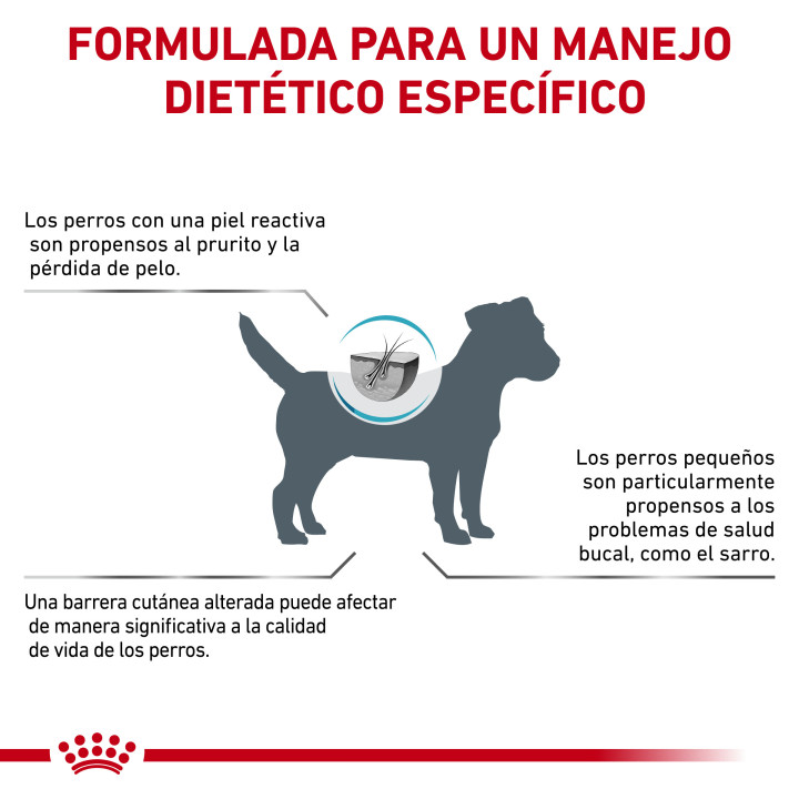Royal Canin Skin Care Adult Small Dog, pienso para perros - Kompymascotas