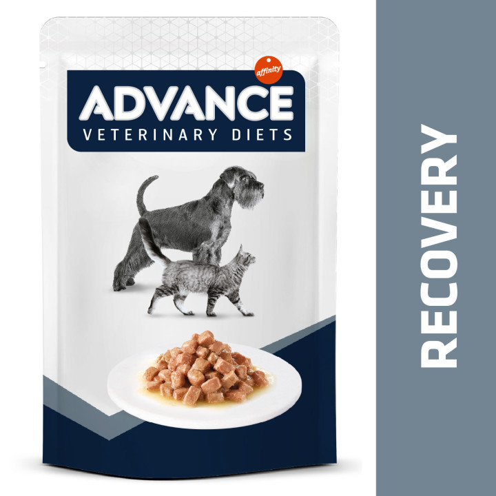 Advance Veterinary Diet Recovery - Kompymascotas
