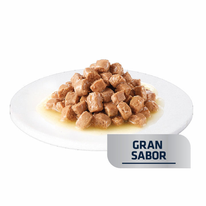 Advance Veterinary Diets Gastroenteric - Kompymascotas