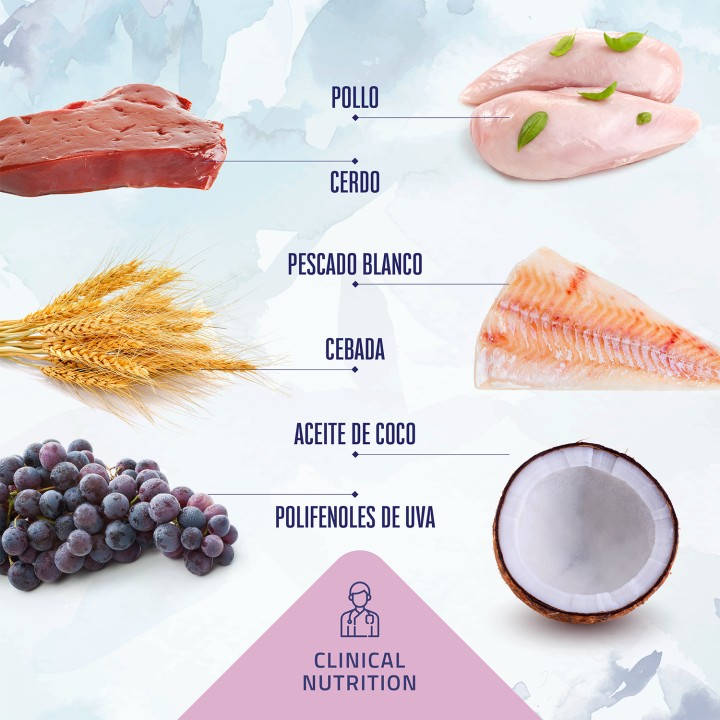 Boske Clinical Diet Diabetic - Kompymascotas