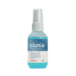 CLUNIA Easy Dent Spray 