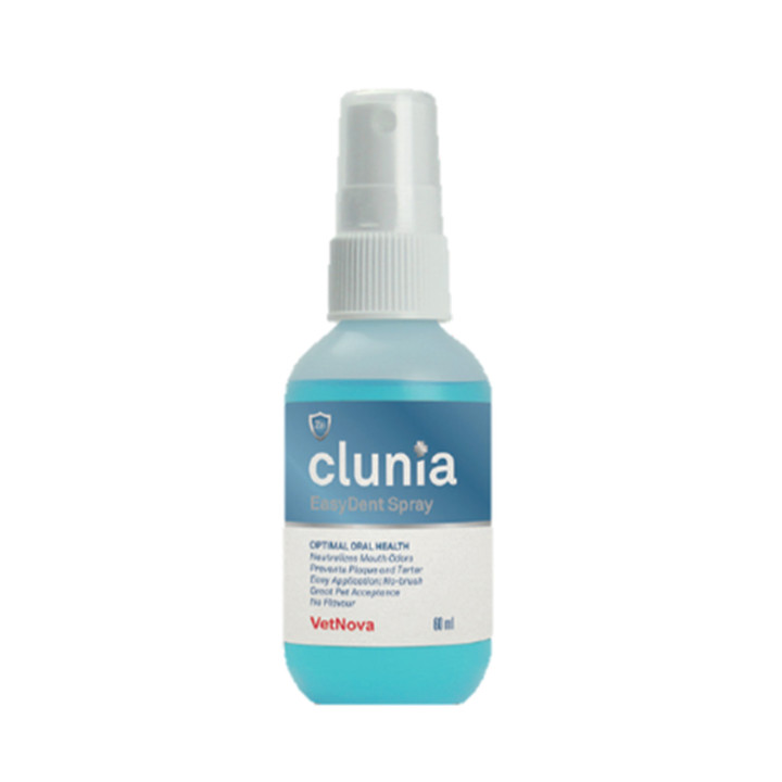CLUNIA Easy Dent Spray 
