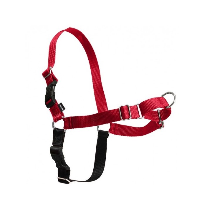 Arnes Easy Walk