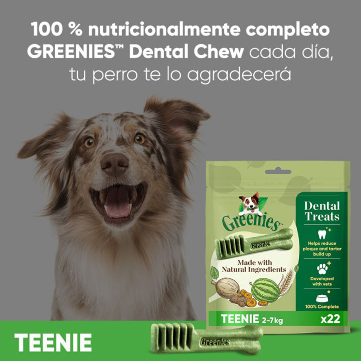 Greenies Teenie, Snacks para perro - Kompymascotas