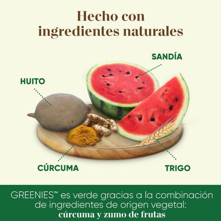 Greenies Large, Snacks para perros - Kompymascotas