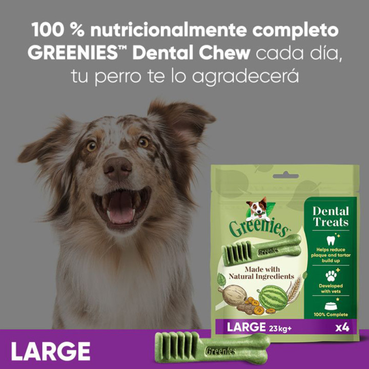 Greenies Large, Snacks para perros - Kompymascotas