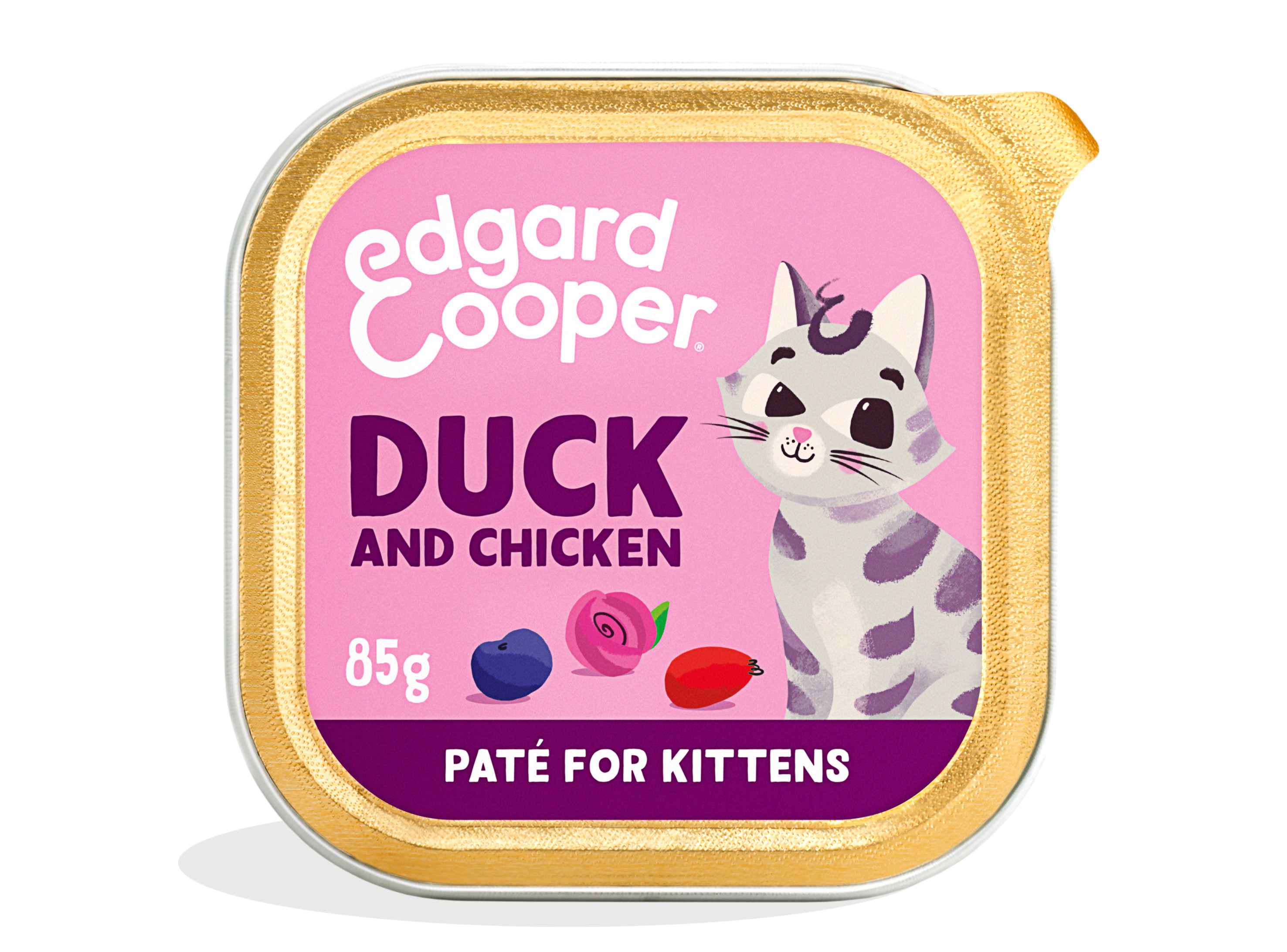 Comida húmeda gatitos