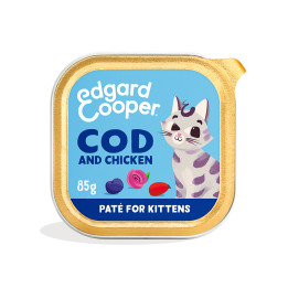Paté de bacalao y pollo sin cereales para gatitos