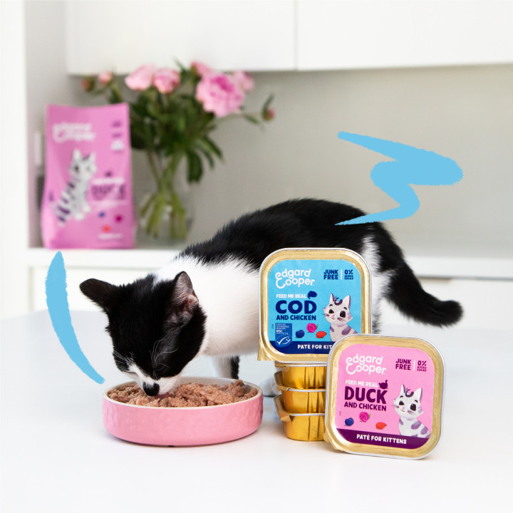 Paté de bacalao y pollo sin cereales para gatitos