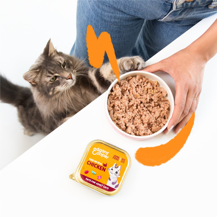 Paté de pollo sin cereales para gatos Edgard & Cooper