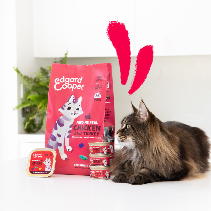 Paté de pollo y pavo sin cereales para gatos adultos
