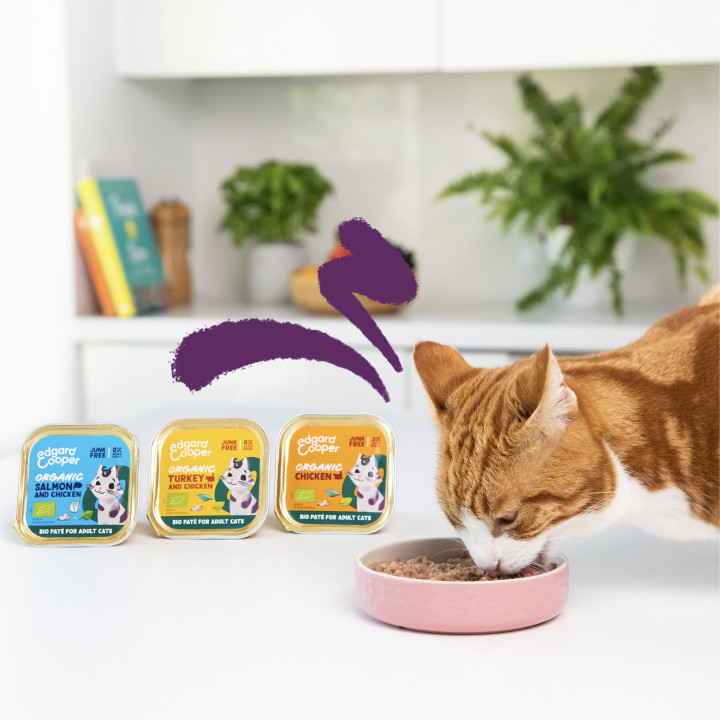 Paté de pollo ecológico sin cereales para gatos Edgard & Cooper