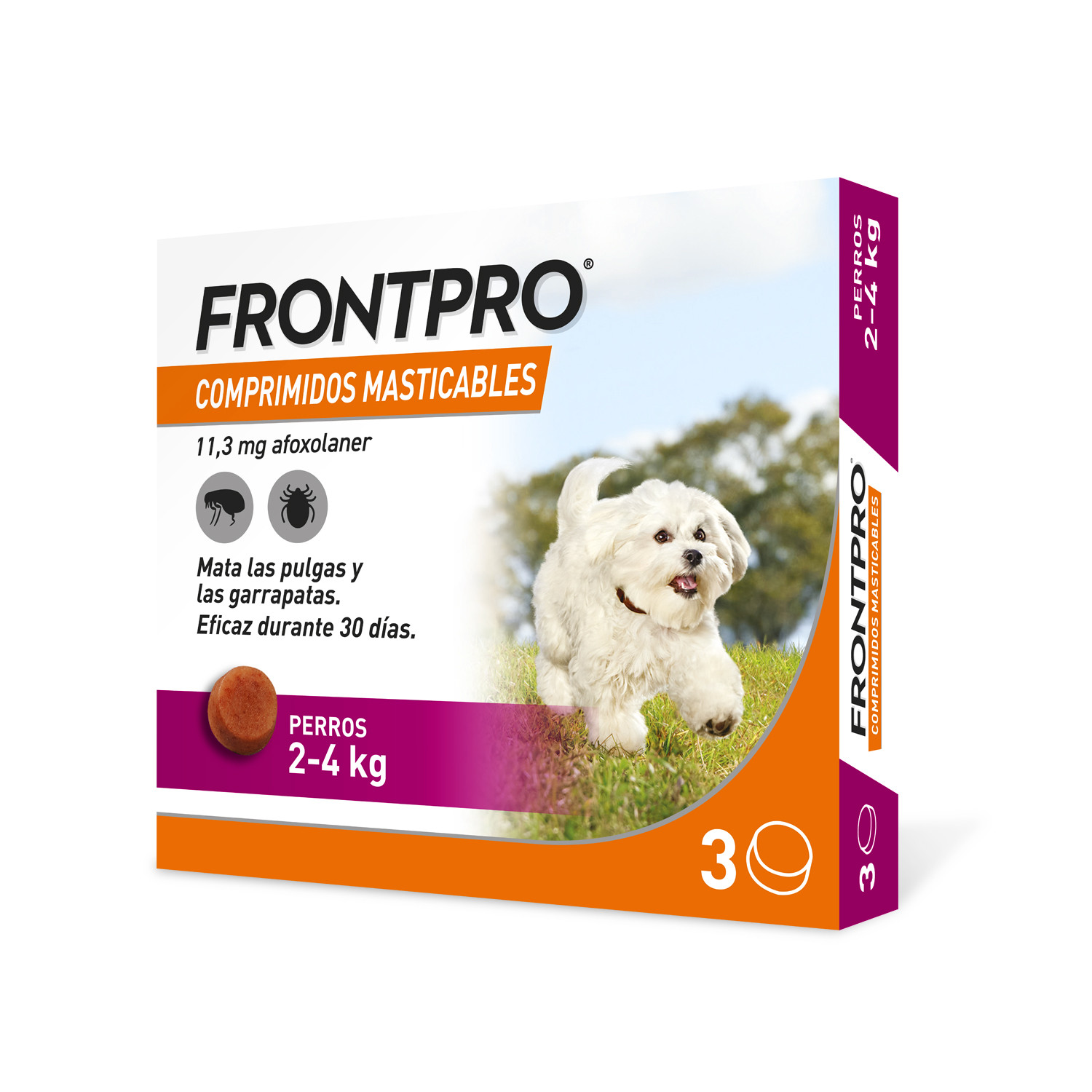 Frontpro