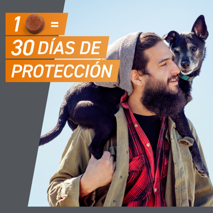FrontPro Comprimidos Antiparasitarios Masticables - Kompymascotas