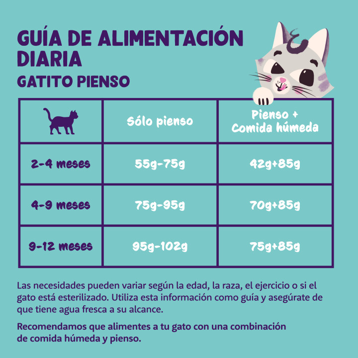 Edgard & Cooper, pienso sin cereales con pato y pollo frescos para gatitos