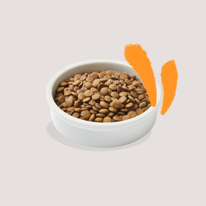Edgard & Cooper, pienso sin cereales con pollo fresco para gato adultos
