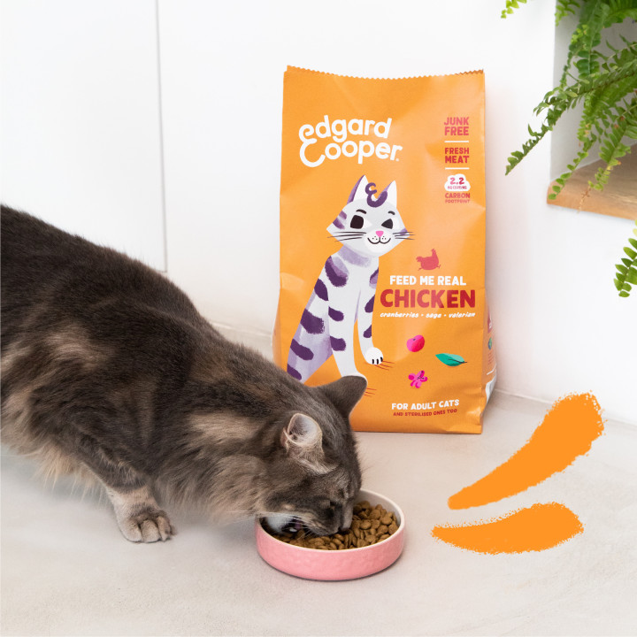 Edgard & Cooper, pienso sin cereales con pollo fresco para gato adultos