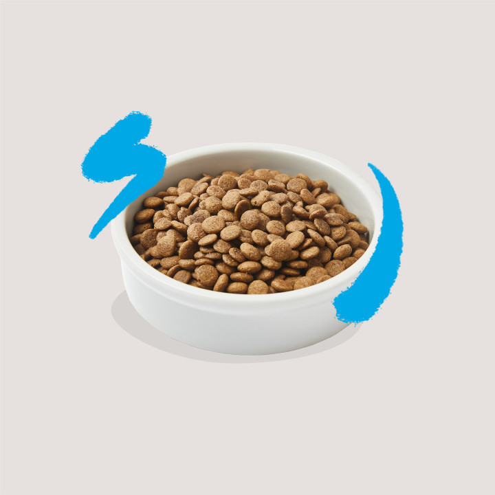 Edgard & Cooper, pienso sin cereales con salmón fresco para gatos adultos